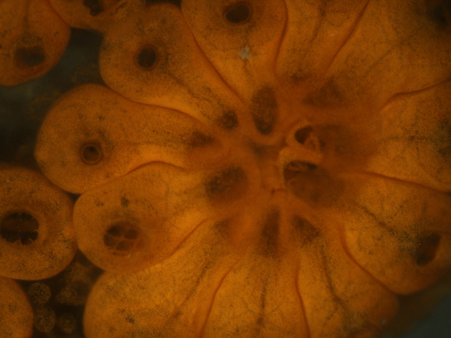 Image3